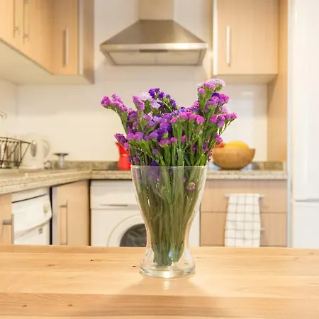 Apartmán Homely Plaza Montano Màlaga
