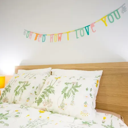 Apartment Homely Plaza Montano
