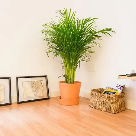 Apartment Homely Plaza Montano Malaga