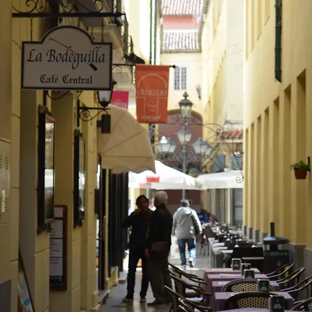 Lägenhet Homely Plaza Montano Málaga
